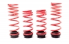 BMW F10 SEDAN - H&R ADJUSTABLE LOWERING SPRINGS