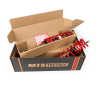 MINI COUPE - MTS SPORT COILOVER SUSPENSION KIT (20-55|10-50)
